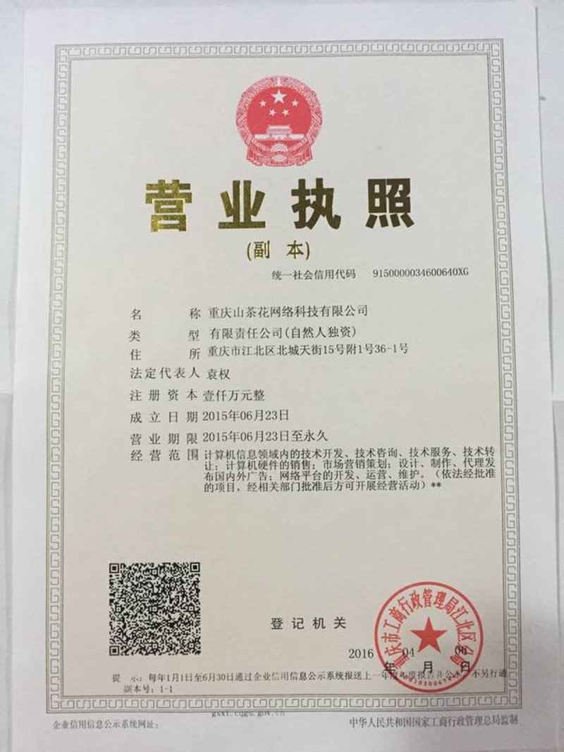 重庆网络信息咨询